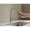 Delta Trinsic Champagne Bronze Finish Single Handle Pull-Down Kitchen Limited Swivel D9159CZLSDST