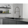 Delta Trinsic Black Stainless Steel Finish Single Handle Pull-Down Kitchen Faucet With Spring Spout D9659KSDST