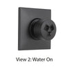Delta Modern Matte Black Finish HydraChoice Wall Mount Body Spray Includes Valve, Square Trim, and Invigorating Spray Head D3647V