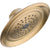 Delta Innovations 1-Setting Champagne Bronze 2.5 GPM Raincan Showerhead 573014
