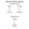 Delta Dryden Polished Nickel Finish Shower System with Control Handle, 3-Setting Diverter, 2 Showerheads SS142511PN5