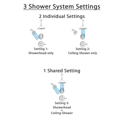 Delta Victorian Stainless Steel Finish Shower System with Control Handle, 3-Setting Diverter, Showerhead, and Ceiling Mount Showerhead SS14255SS5