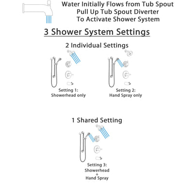 Delta Compel Stainless Steel Finish Tub and Shower System with Control Handle, Diverter, Showerhead, and Hand Shower with Grab Bar SS14461SS3