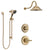Delta Victorian Champagne Bronze Finish Shower System with Control Handle, 3-Setting Diverter, Showerhead, and Hand Shower with Slidebar SS1455CZ3
