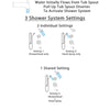 Delta Lahara Stainless Steel Finish Tub and Shower System with Dual Control Handle, Diverter, Showerhead, and Hand Shower with Grab Bar SS17438SS3